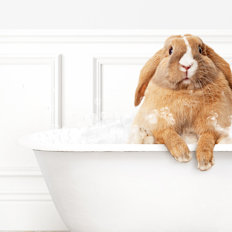 a brown and white rabbit sitting in a bathtub