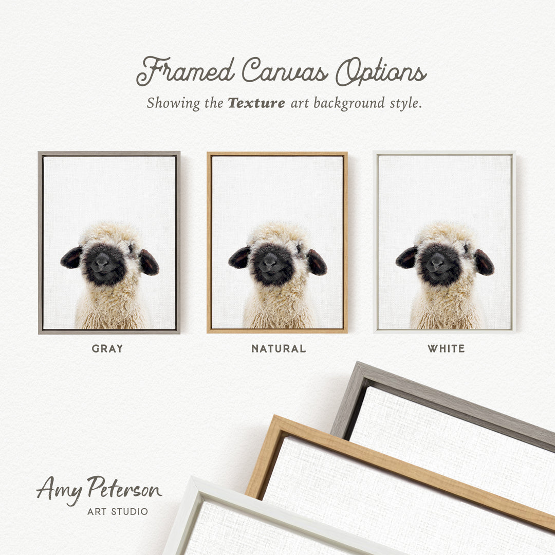 three framed canvas options, each with a different color and frame style, showcasing the texture art background style.
