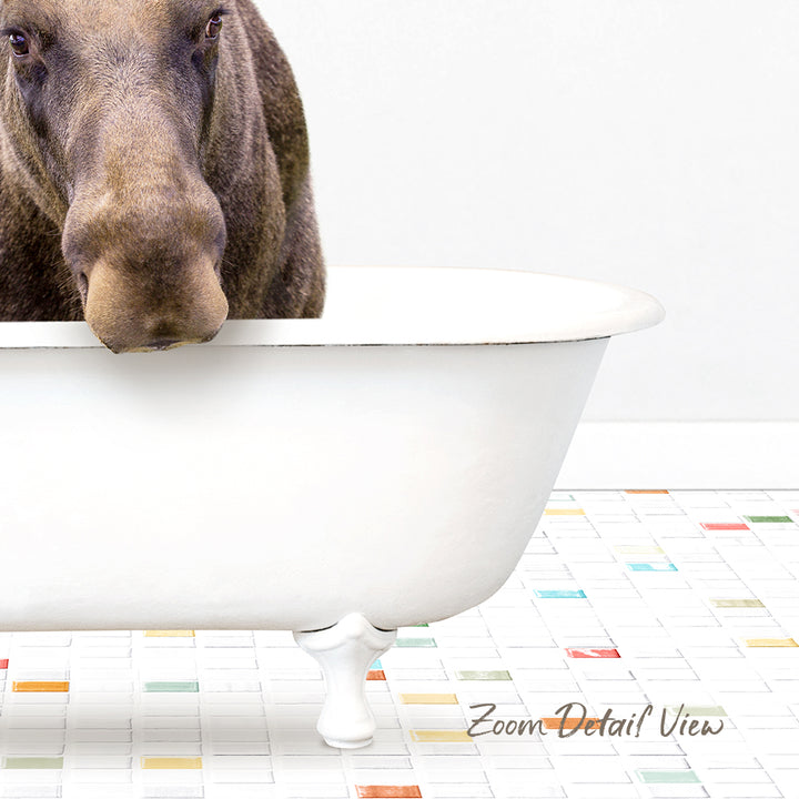 A moose is sitting in a white bathtub, looking directly at the camera.