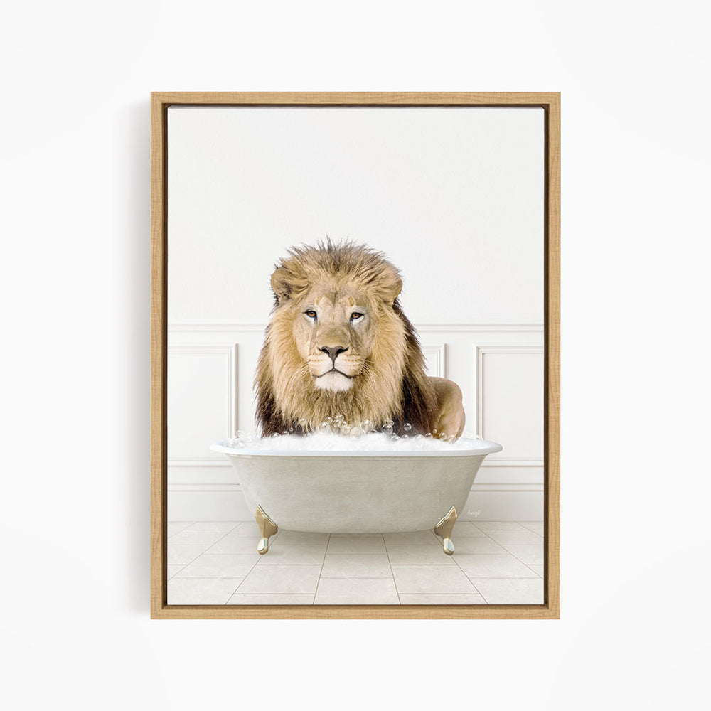 A lion sitting in a bathtub filled with water, looking directly at the camera.