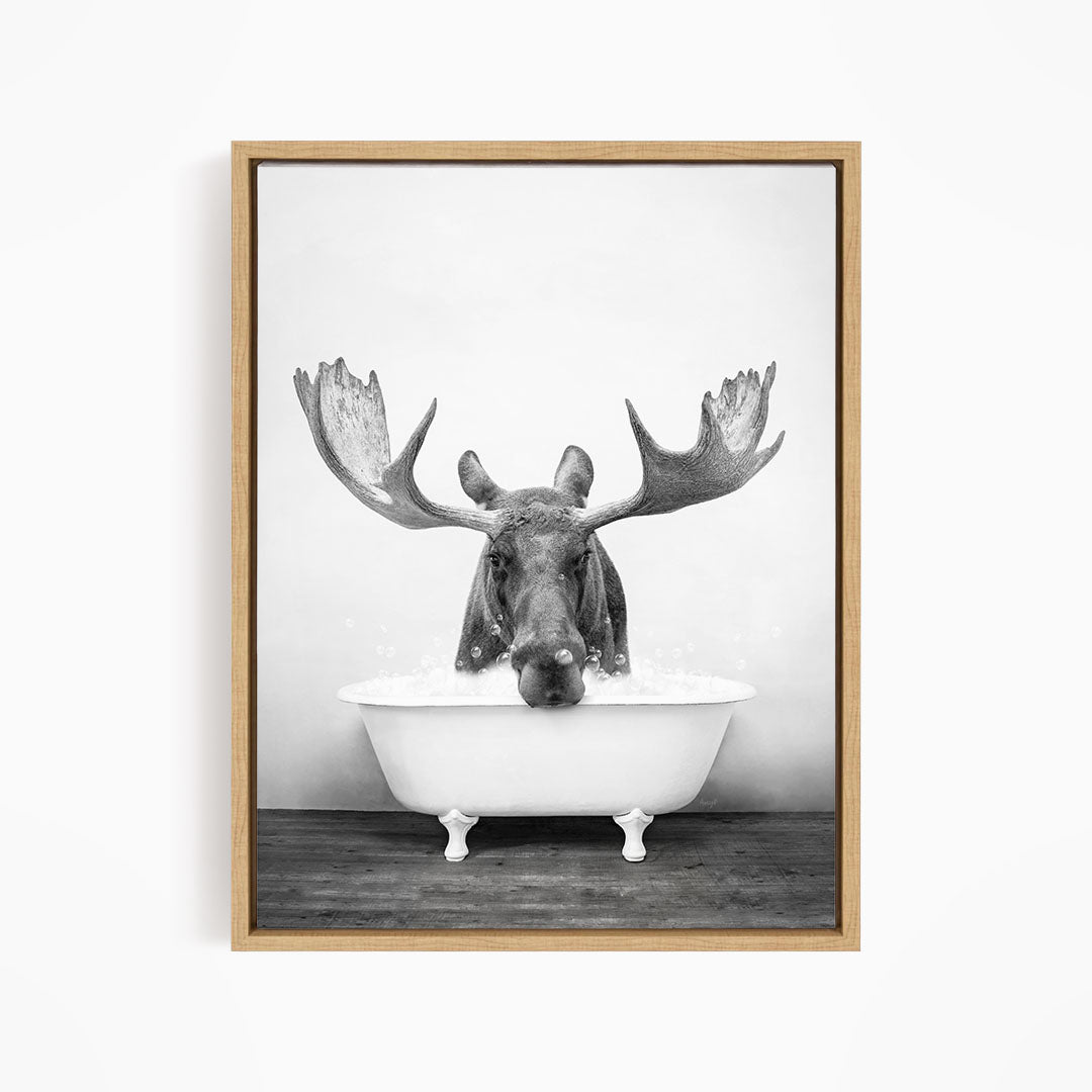 A black and white photograph of a moose with large antlers sitting in a bathtub.