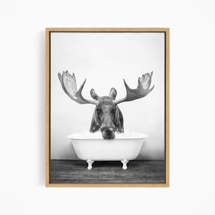 A black and white photograph of a moose with large antlers sitting in a bathtub.