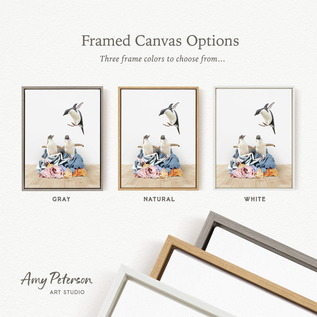three framed canvas options, each with a different color: gray, natural, and white. The text above the images reads " Framed Canvas Options" and "Three frame colors to choose from...". The text below the images reads "Grays", "NATURAL", and "WHITE". The artist's name, " Amy Peterson", is also present.
