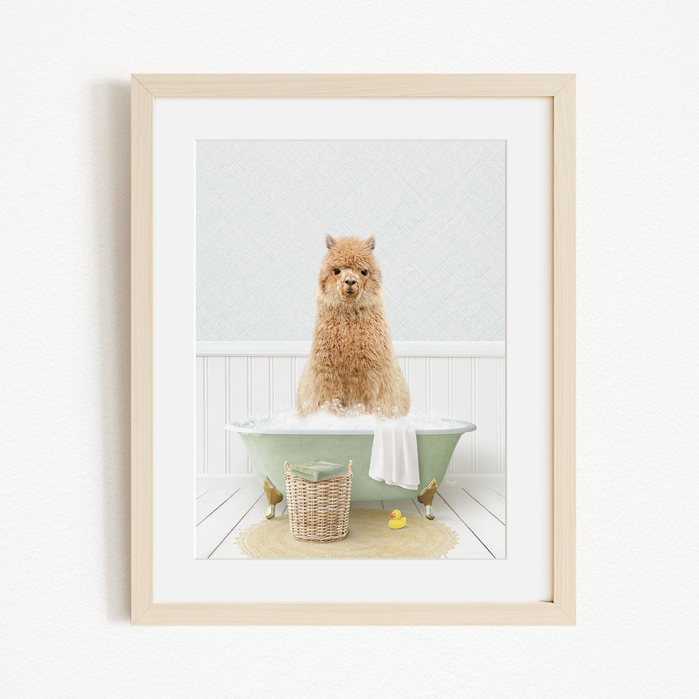 A fluffy brown dog sitting in a green bathtub filled with water, surrounded by a yellow rubber duck and a basket.