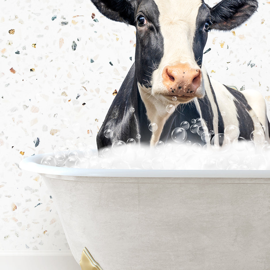 a black and white cow sitting in a bathtub