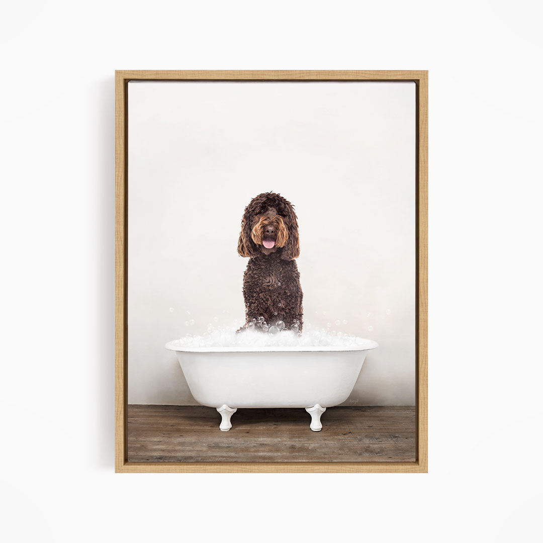 A brown curly-haired dog sitting in a white bathtub filled with water, with a wooden floor beneath.