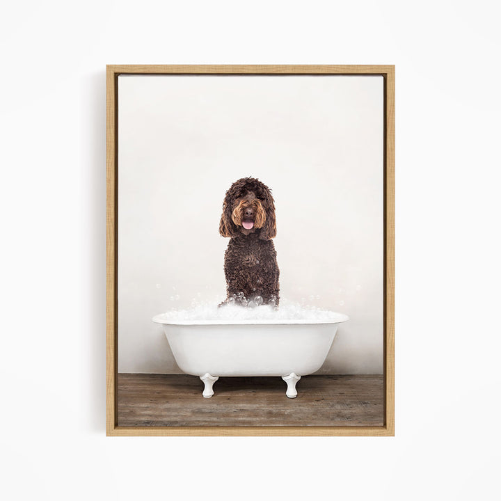 A brown curly-haired dog sitting in a white bathtub filled with water, with a wooden floor beneath.