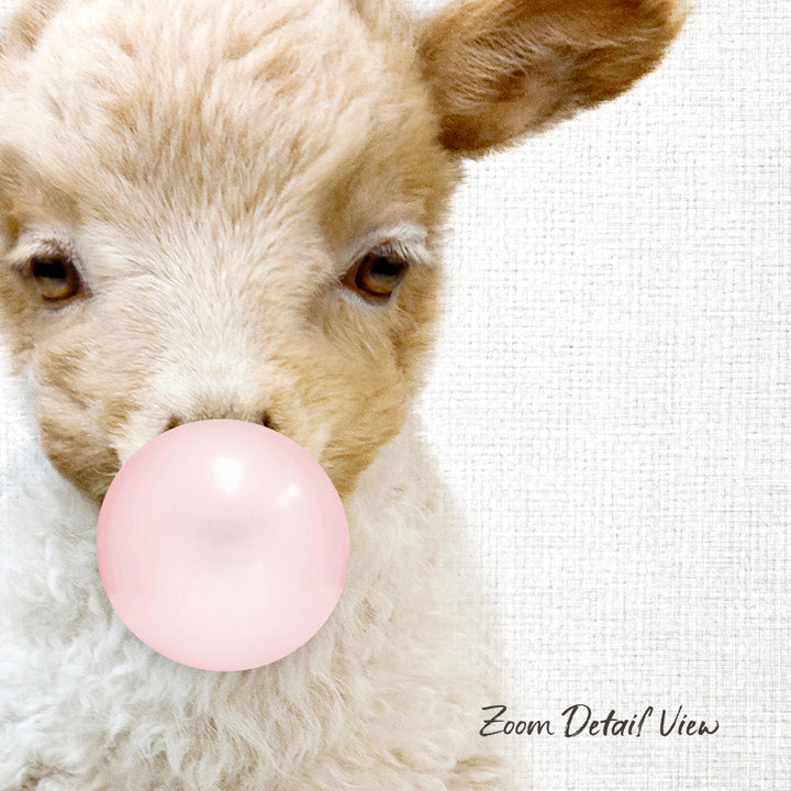 A fluffy lamb with its head tilted to the side, blowing a pink bubble with a bubble gum bubble wand.