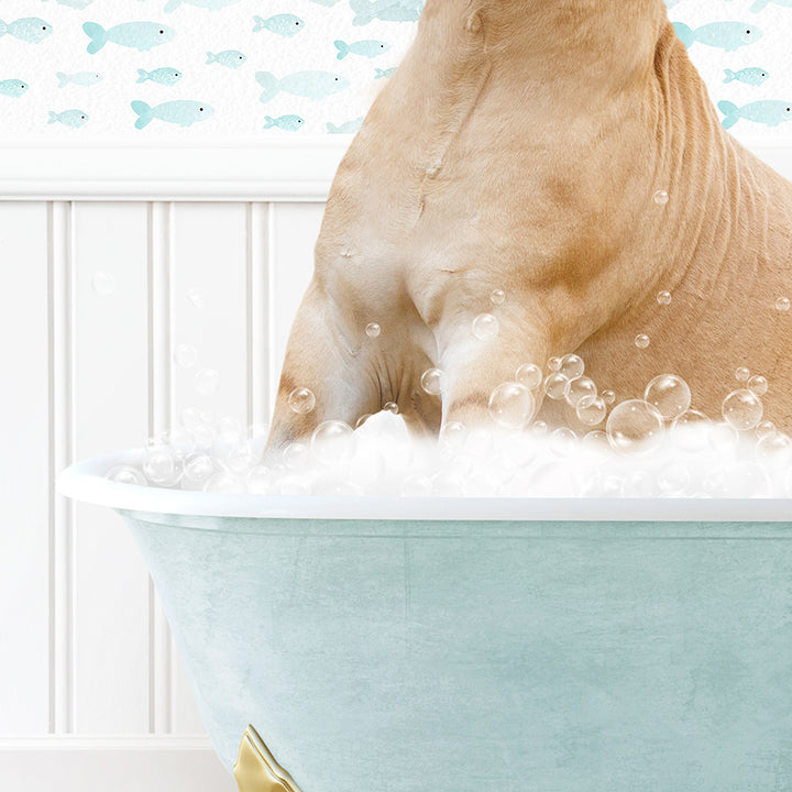 a dog sitting in a bathtub full of bubbles