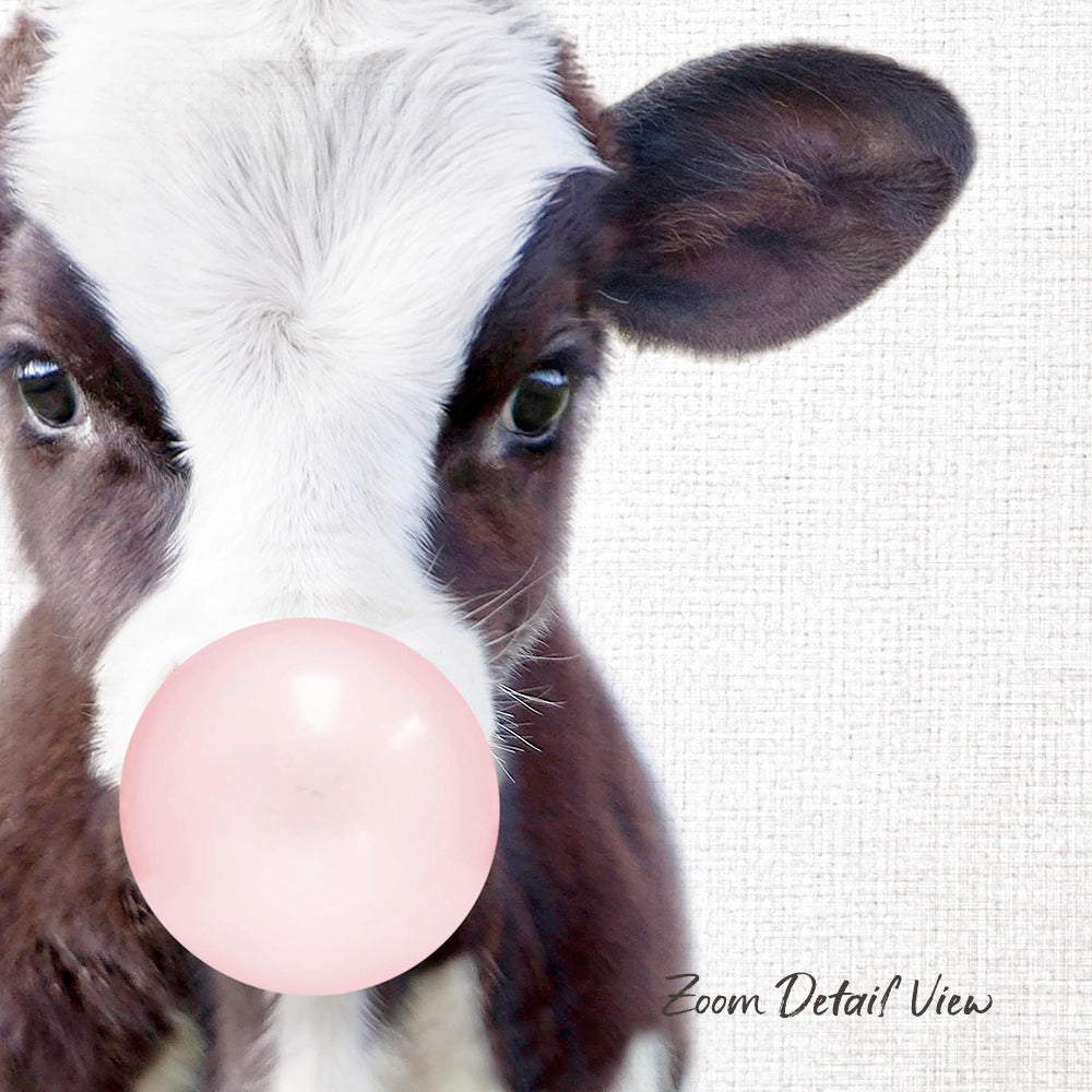 A close-up of a cow's face with its nose in a pink bubble, looking directly at the camera.