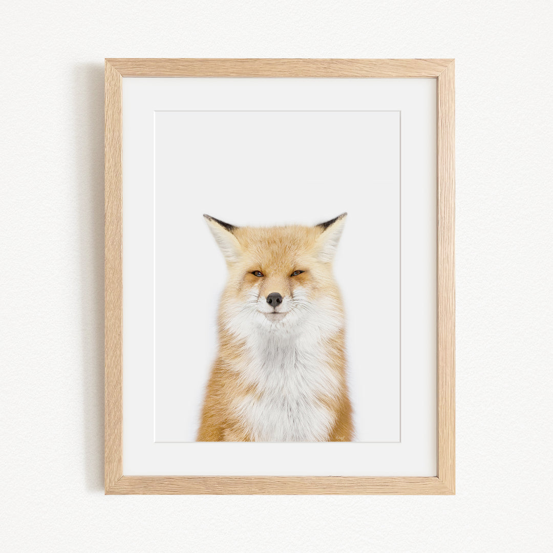 A framed print of a fox's face, with its distinctive features such as its large eyes, long whiskers, and reddish-brown fur.