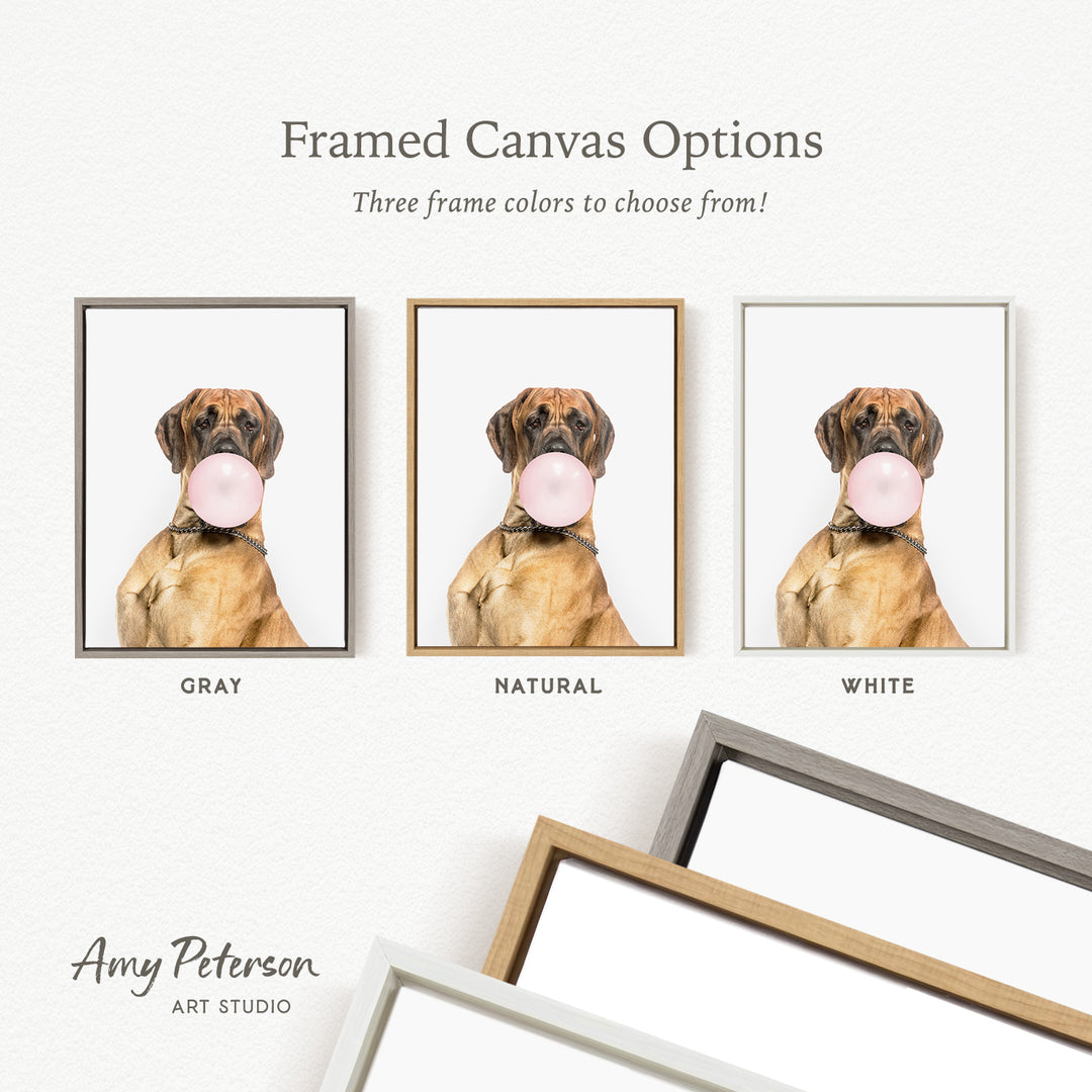 three framed canvas options for a dog with a pink bubble in its mouth, each with a different frame color: gray, natural, and white.