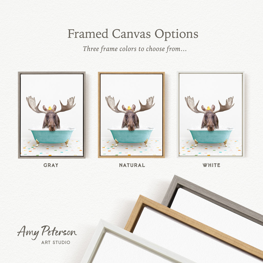 three framed canvas options featuring a moose in a bathtub, with each option having a different frame color: gray, natural, and white.