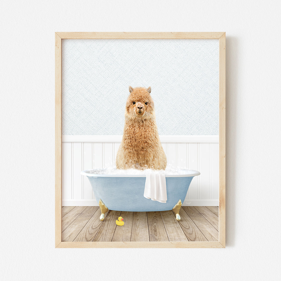 a brown dog sitting in a blue bath tub