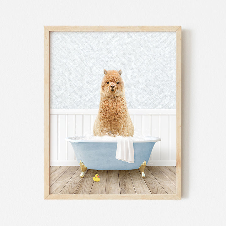 a brown dog sitting in a blue bath tub