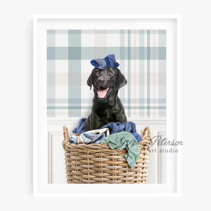 a black dog is sitting in a basket