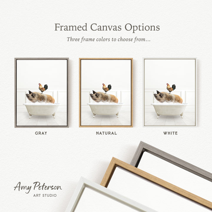 three framed canvas options, each featuring a different color: gray, natural, and white. The text above the images reads " Framed Canvas Options" and "Three frame colors to choose from...". The bottom of the image includes the text " Amy Peterson ART STUDIO".