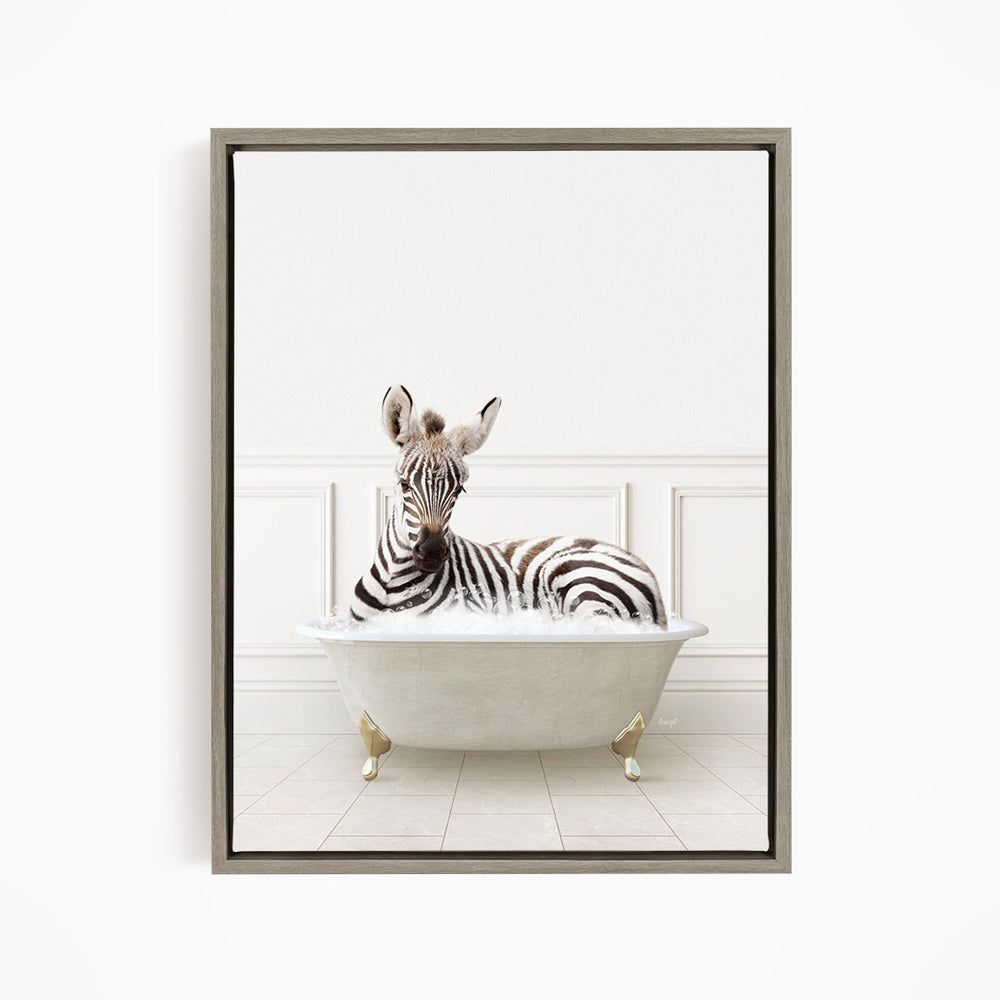 A zebra is sitting in a white bathtub, appearing relaxed and comfortable.