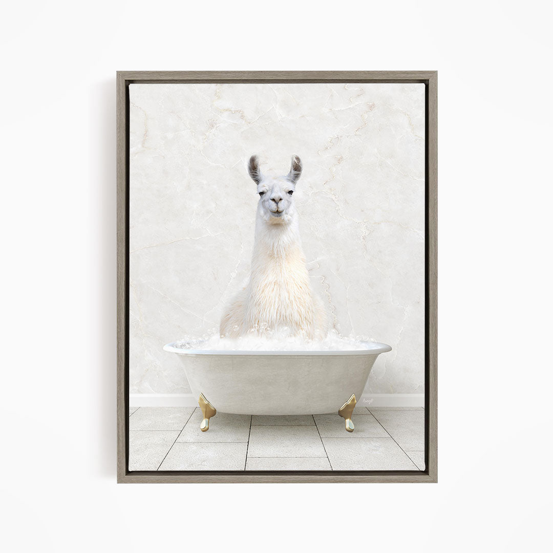 A white llama sitting in a white bathtub filled with water, creating a whimsical and playful scene.