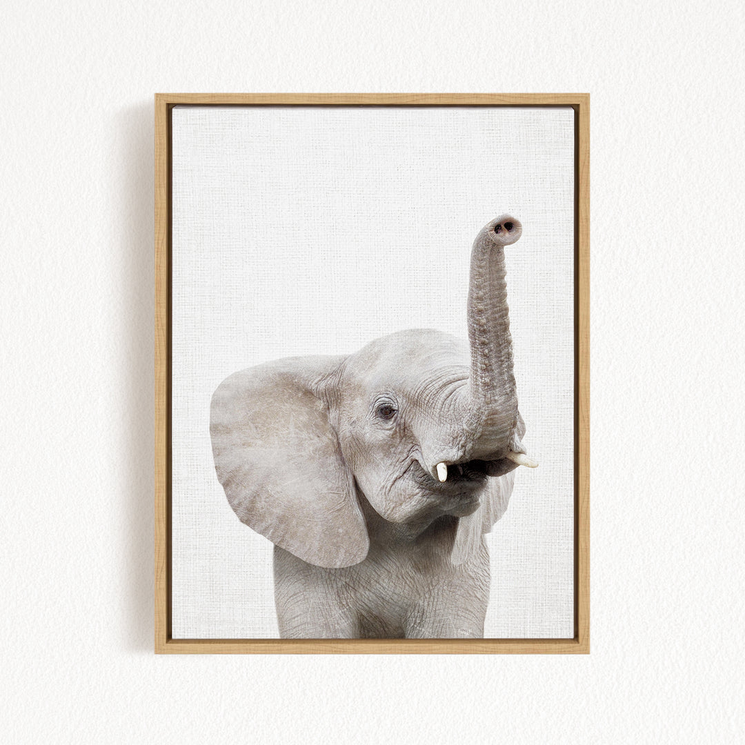 A gray elephant with its trunk raised, standing against a white background.