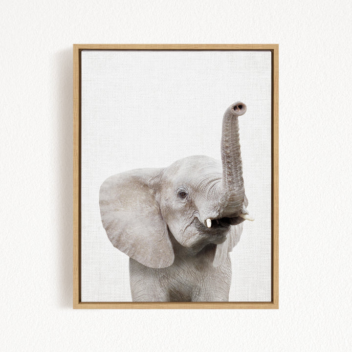 A gray elephant with its trunk raised, standing against a white background.