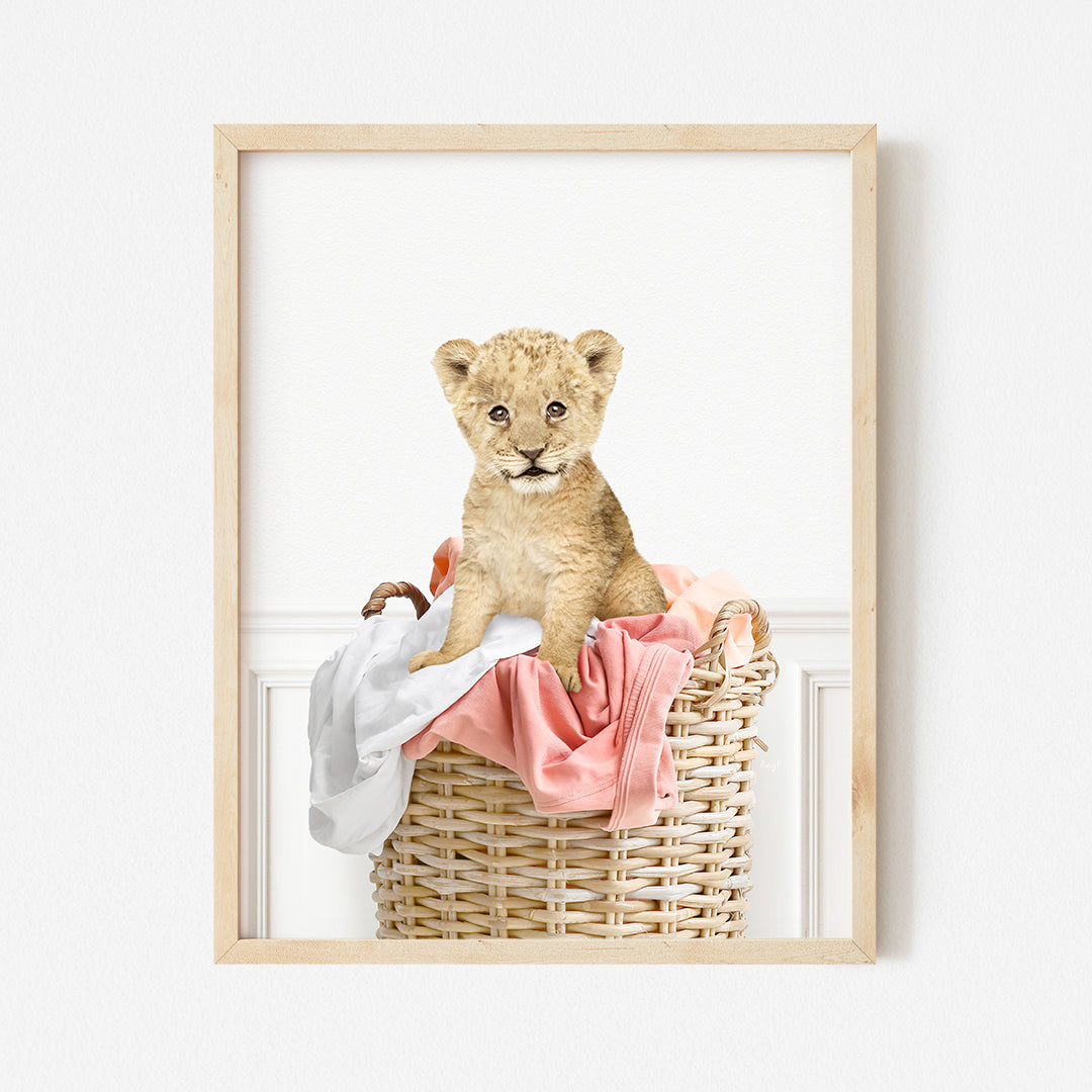 a picture of a baby bear sitting in a basket