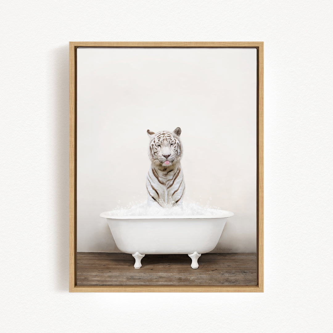A white tiger is sitting in a white bathtub filled with bubbles, looking directly at the camera.