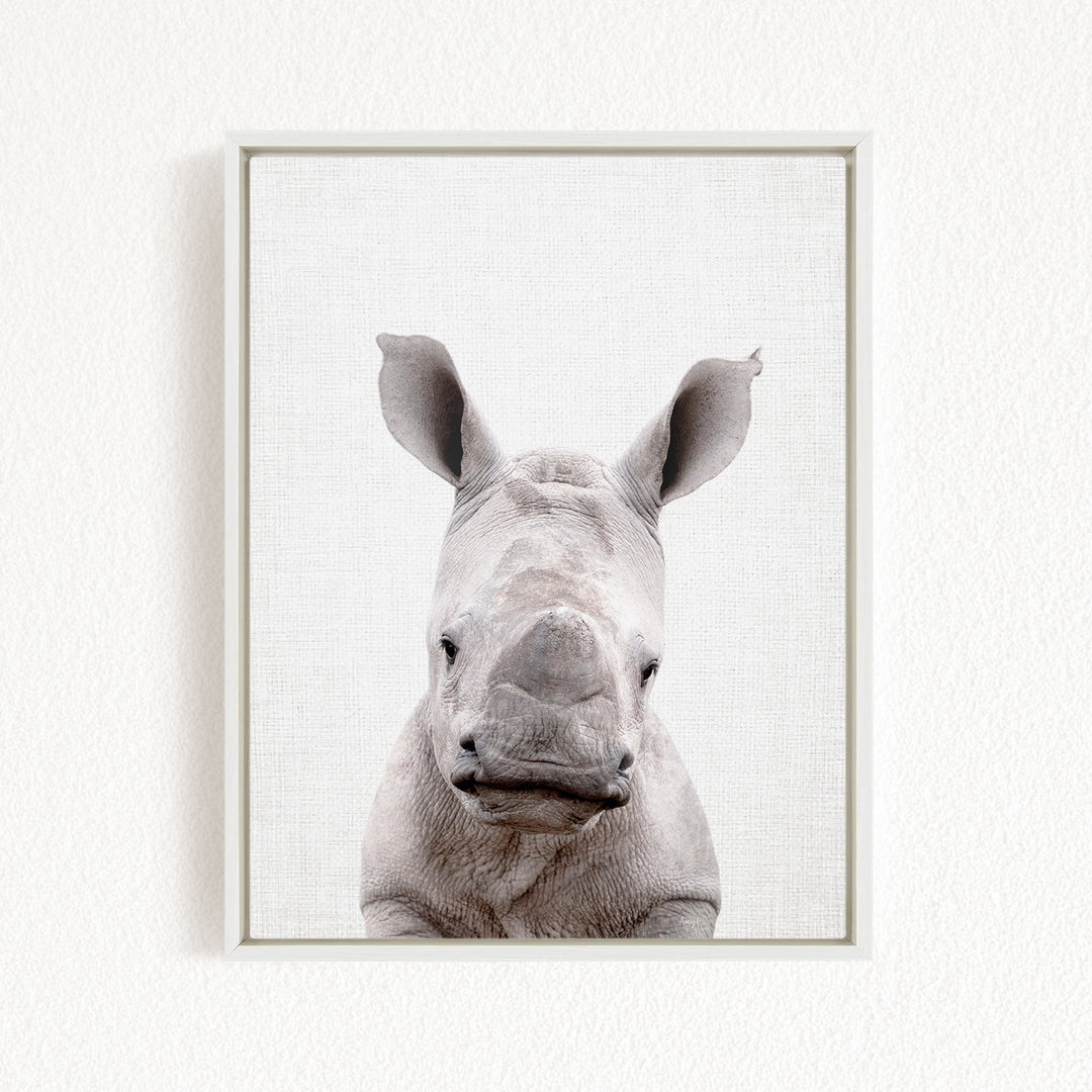 A close-up portrait of a rhinoceros, with its distinctive horn-like features prominently displayed against a plain white background.
