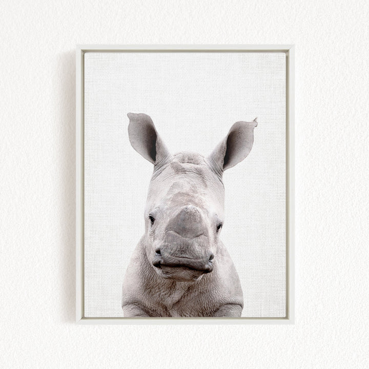 A close-up portrait of a rhinoceros, with its distinctive horn-like features prominently displayed against a plain white background.