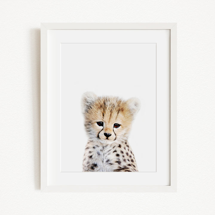 A young cheetah with a spotted coat is the focus of the image, captured in a framed print against a plain white background.