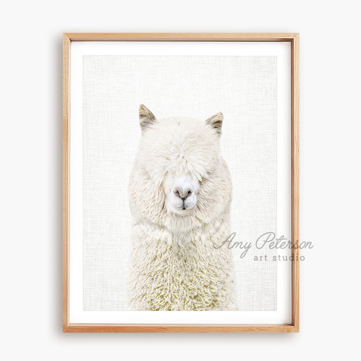 a picture of a white llama in a wooden frame