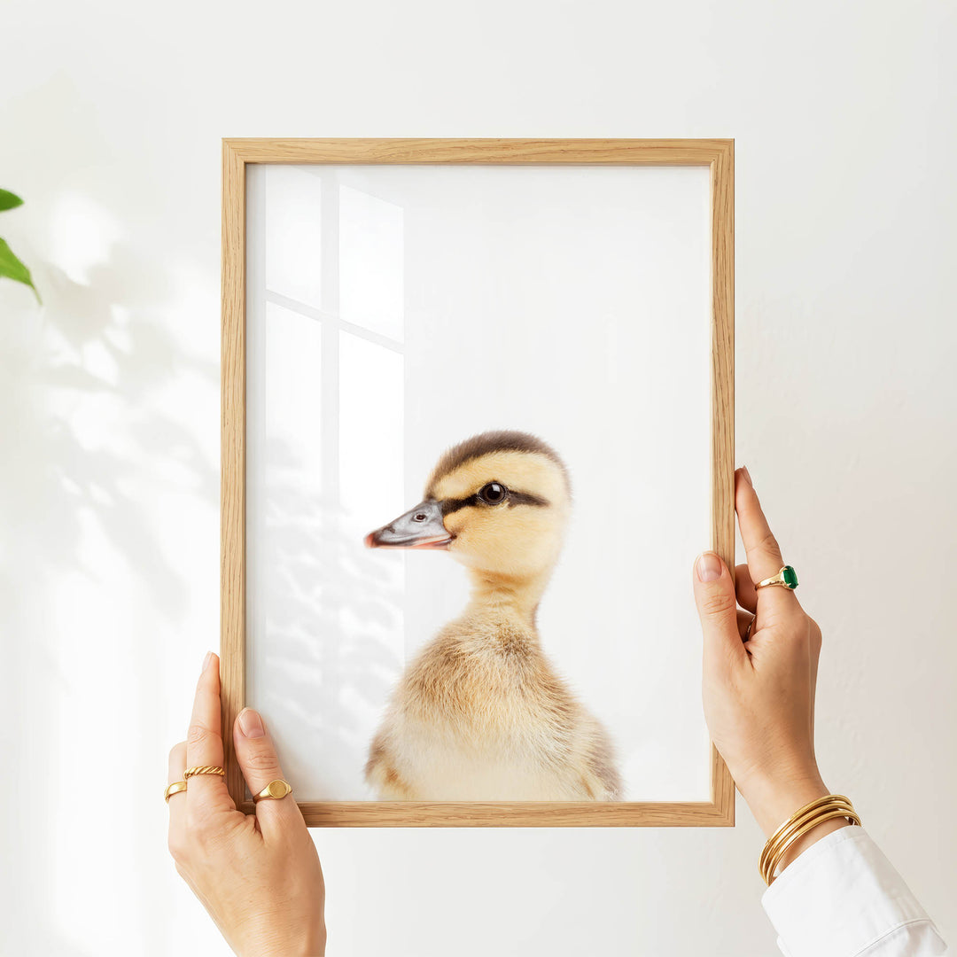 A person's hands are holding a wooden frame with a picture of a duck inside it.