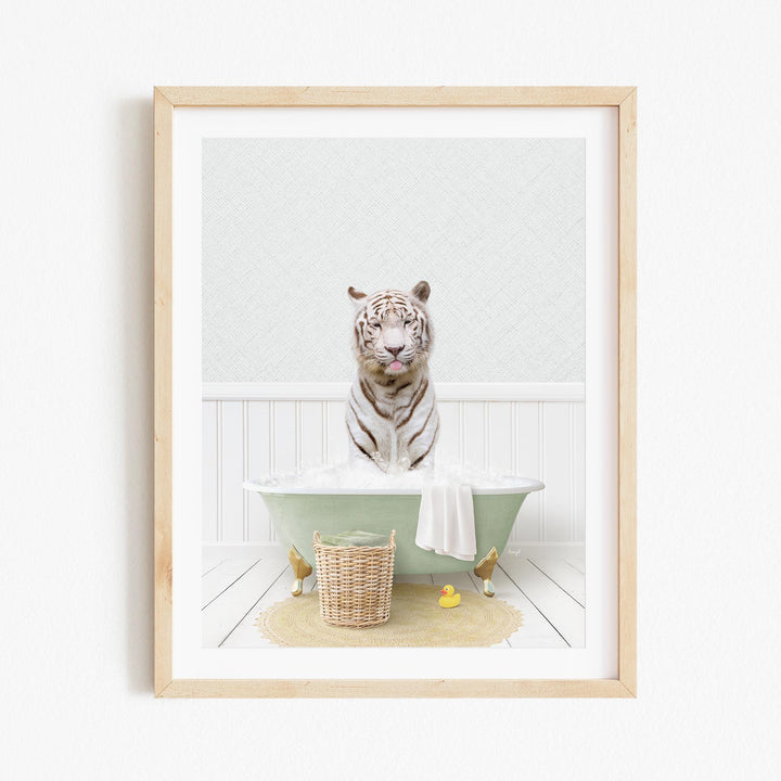 A white tiger is sitting in a green bathtub filled with bubbles, surrounded by rubber ducks and a basket.