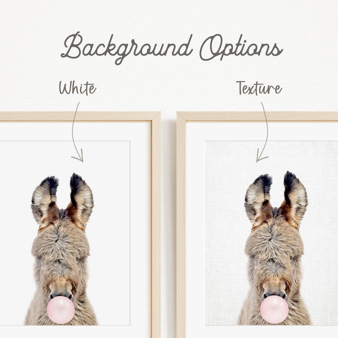 a close-up of a donkey blowing a bubble with its pink bubble gum.