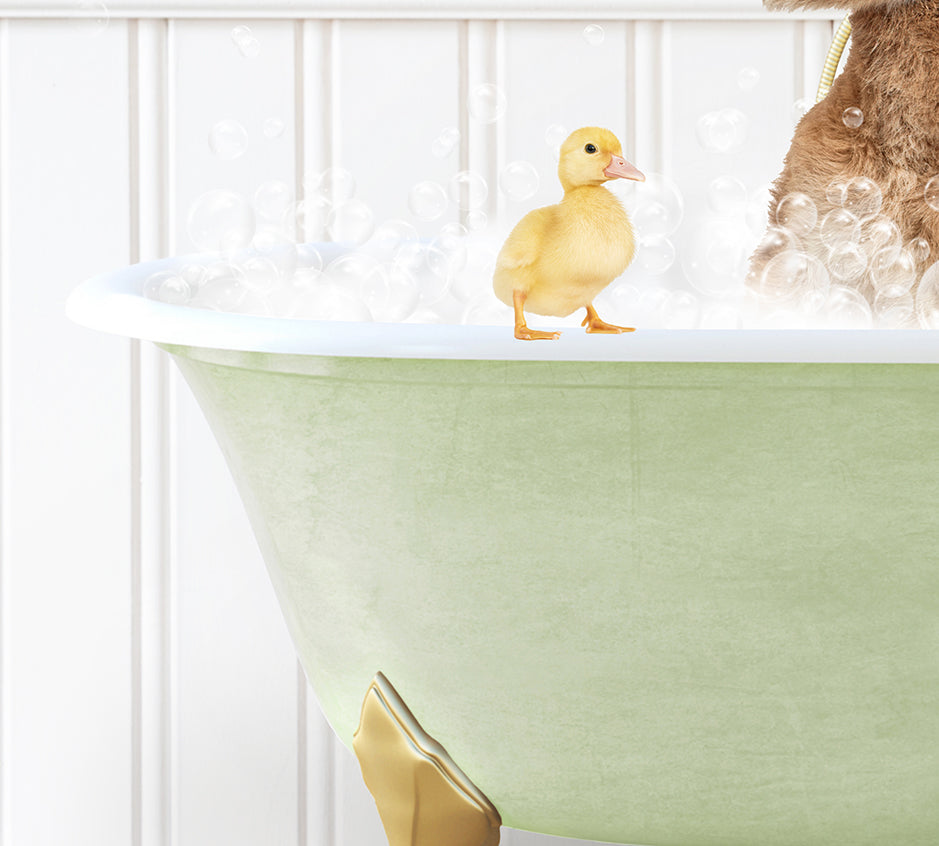 a teddy bear and a duck in a bathtub