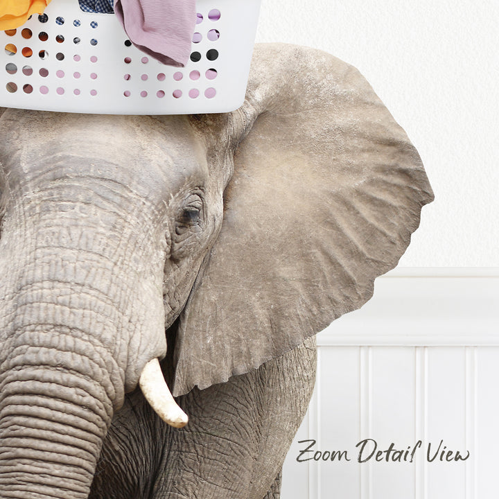 An elephant with a laundry basket on its head, standing next to a white wall.