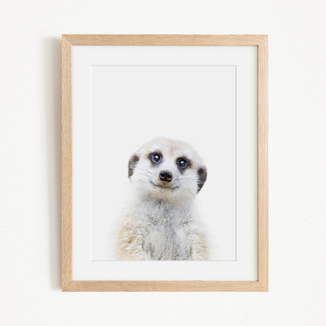 A meerkat with a curious expression is the focus of the framed photograph.