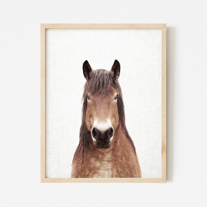 a brown horse standing in front of a white wall