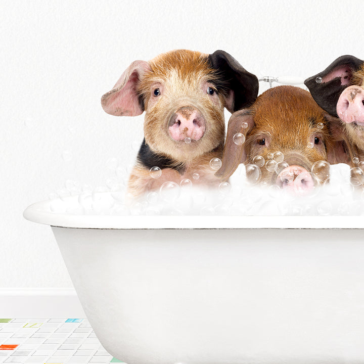 three little pigs in a bathtub full of bubbles