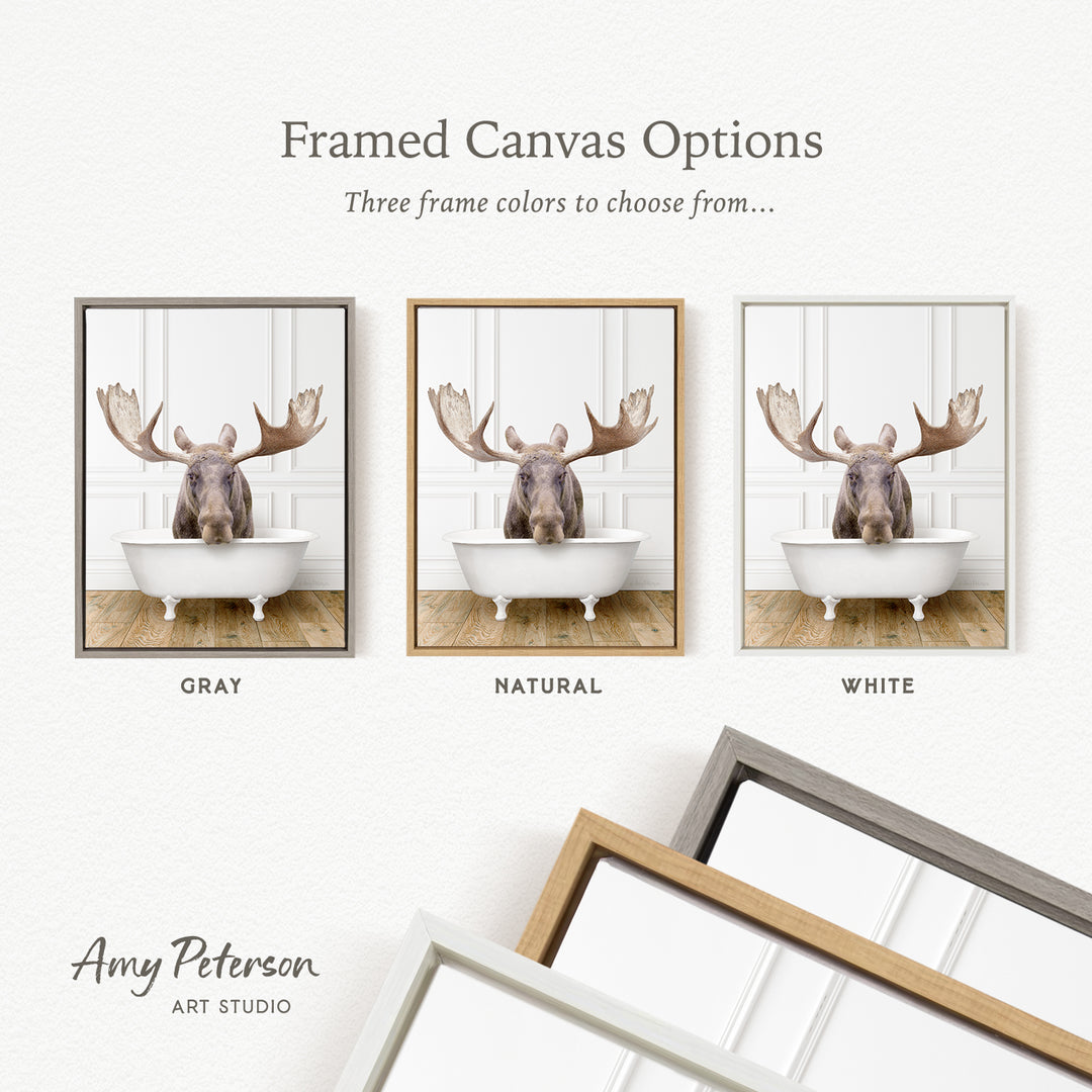 three framed canvas options, each featuring a moose in a bathtub. The options include a gray frame, a natural frame, and a white frame. The moose in each frame is depicted in a different color, allowing the viewer to choose their preferred color for the final framed artwork.