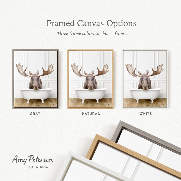 three framed canvas options, each featuring a moose in a bathtub. The options include a gray frame, a natural frame, and a white frame. The moose in each frame is depicted in a different color, allowing the viewer to choose their preferred color for the final framed artwork.