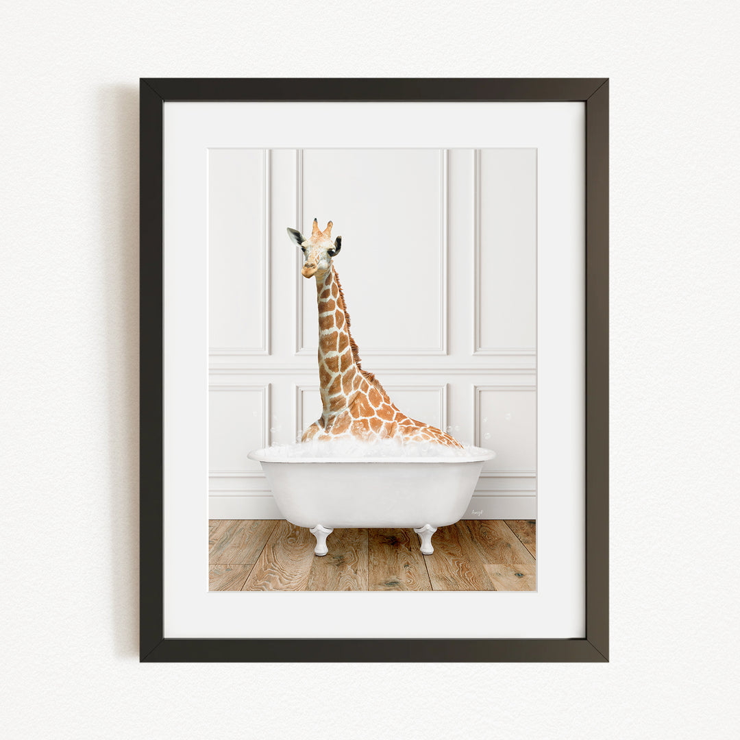 A giraffe sitting in a white bathtub, with its head raised and looking directly at the camera.