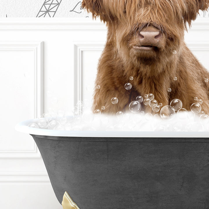 a brown dog sitting in a bathtub with bubbles