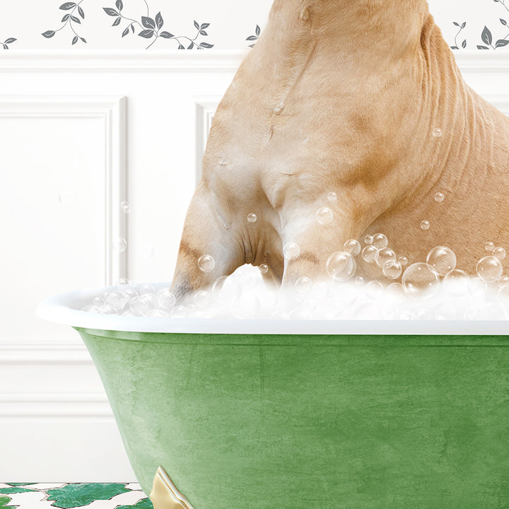 a dog is taking a bath in a green tub