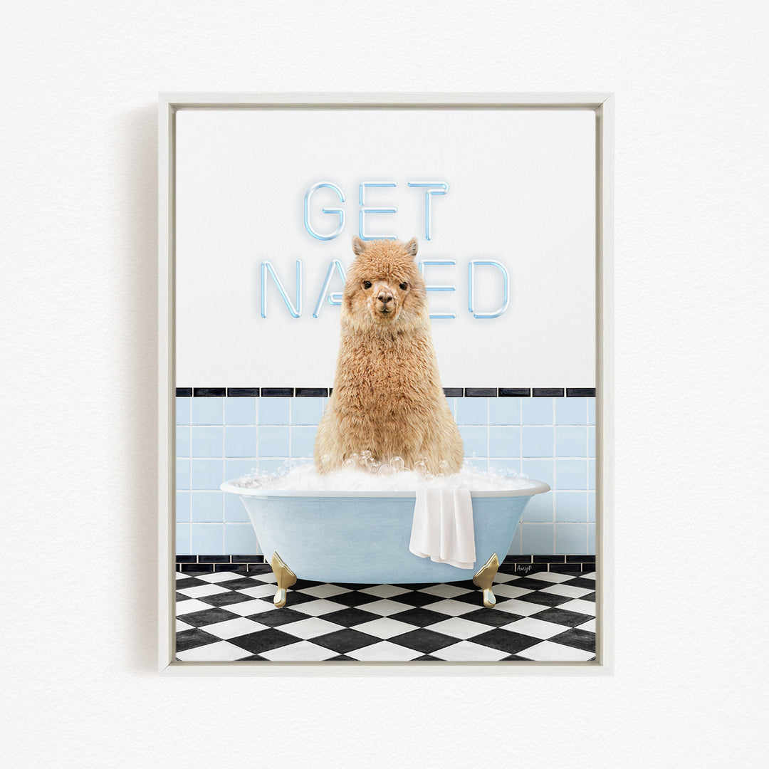 A fluffy brown dog sitting in a bathtub filled with bubbles, with the words "GET NAKED" written on the wall behind it.
