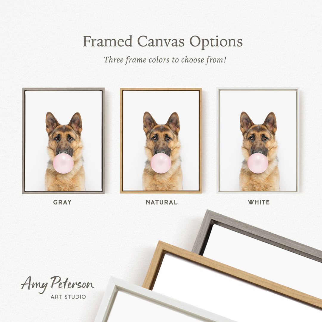 three framed canvas options for a picture of a dog blowing a bubble with a pink bubble gum bubble. The options include a gray frame, a natural frame, and a white frame.
