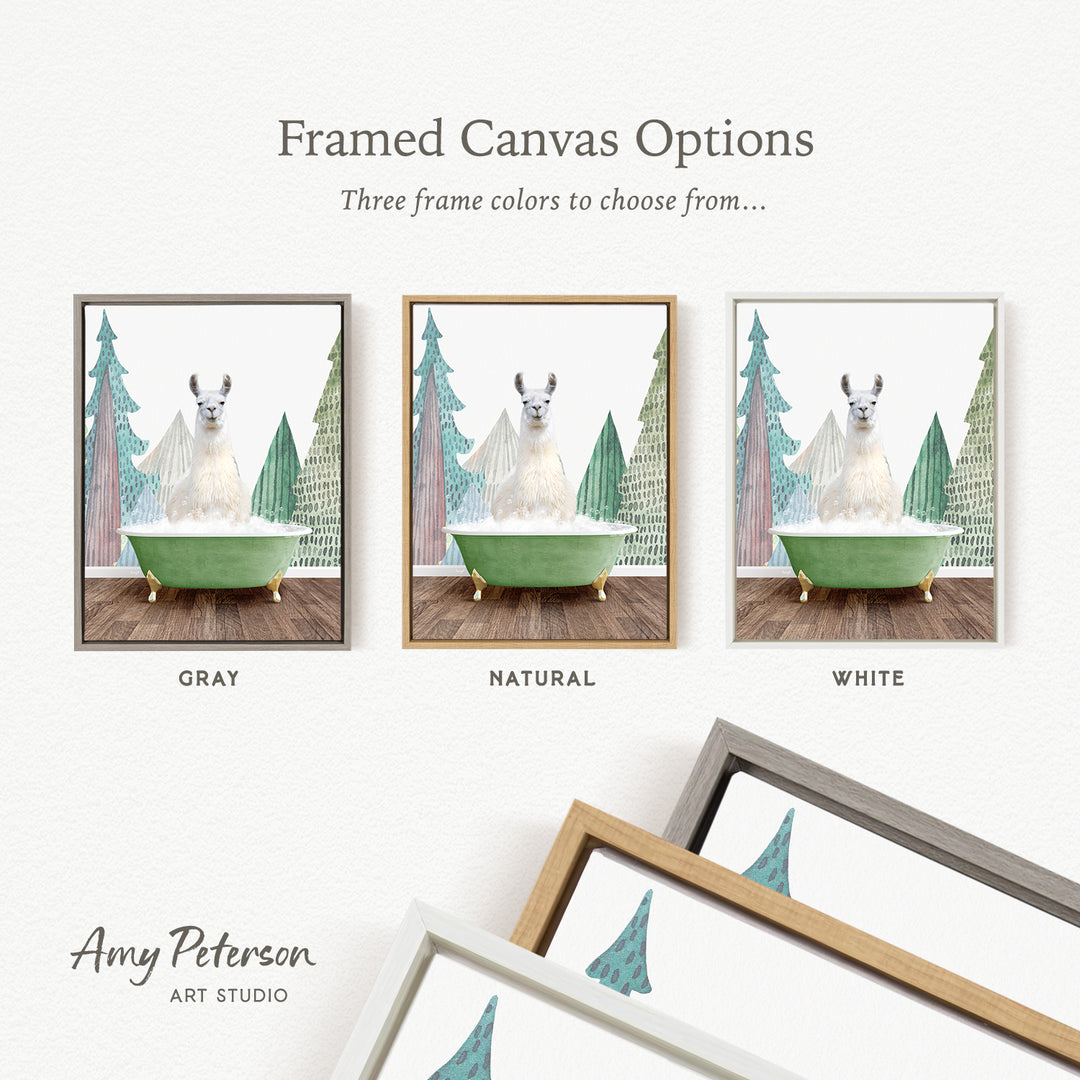 The image is a framed canvas option featuring three different color options for a painting of a llama in a bathtub, with a forest backdrop.