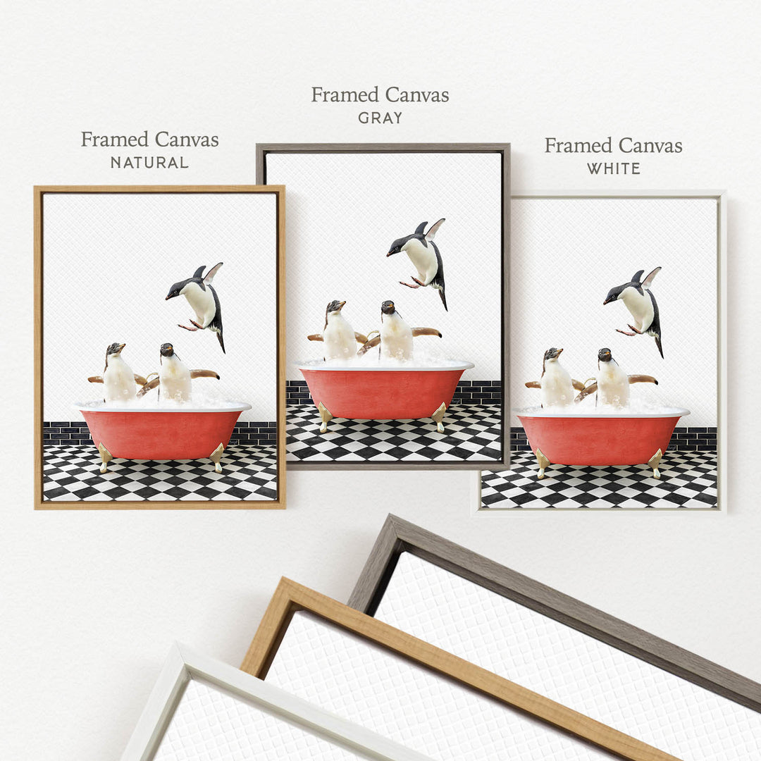 three framed pictures of penguins in a bathtub, each with a different colored frame.