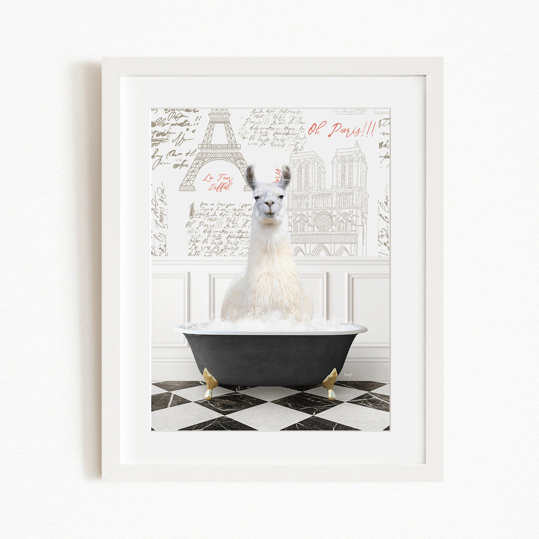 A white llama sitting in a black bathtub, with a framed picture of the Eiffel Tower in the background.