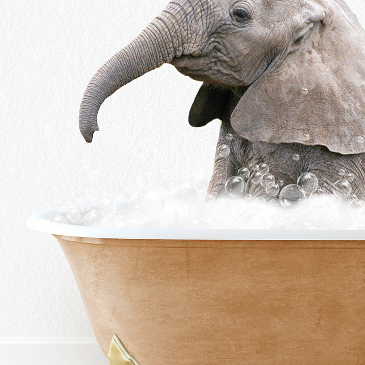 a baby elephant in a bathtub with bubbles